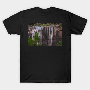 Nature's Tapestry - Zion National Park T-Shirt